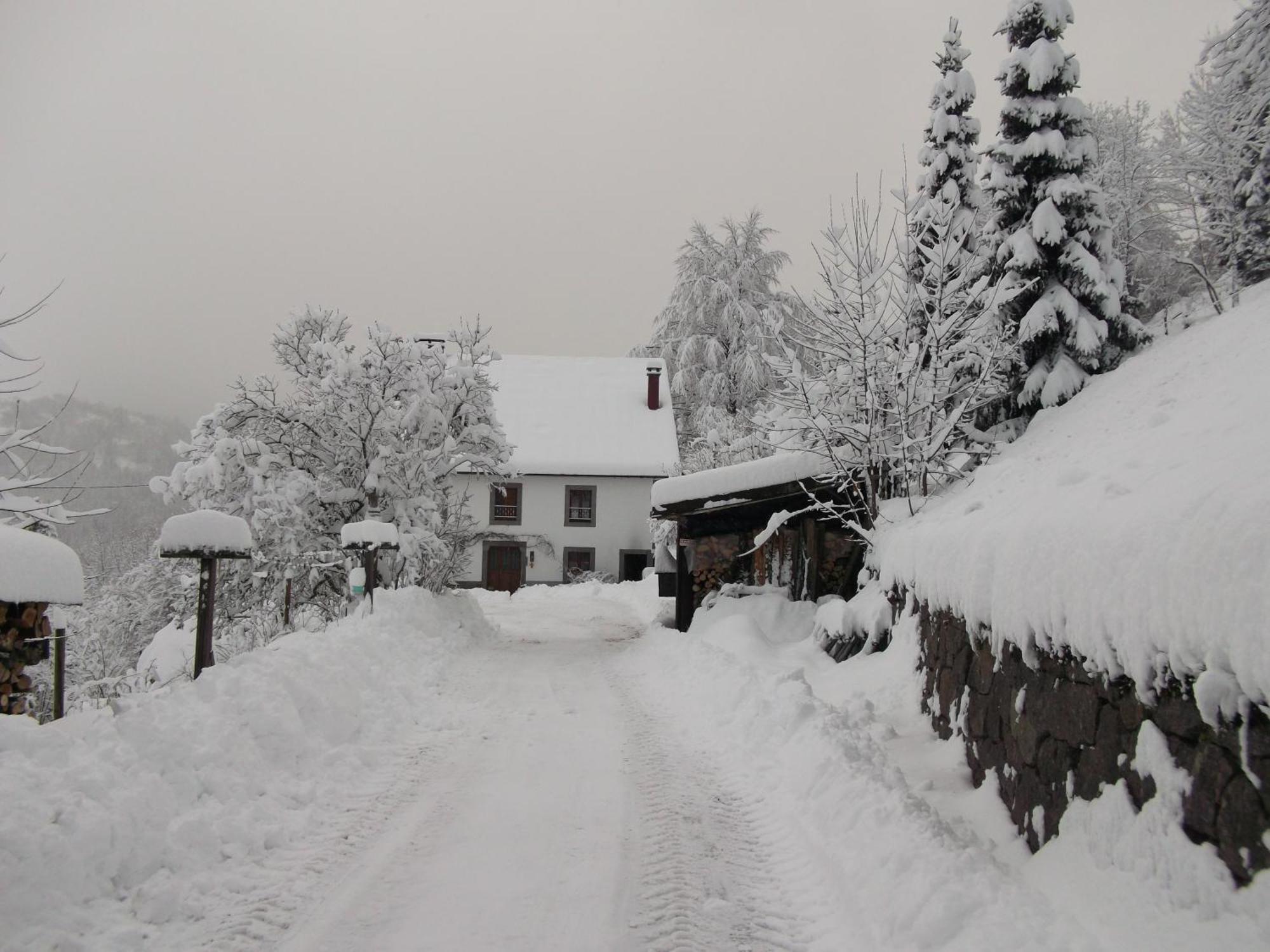 La Ferme Du Vieux Sapin Bed & Breakfast La Bresse Exterior photo