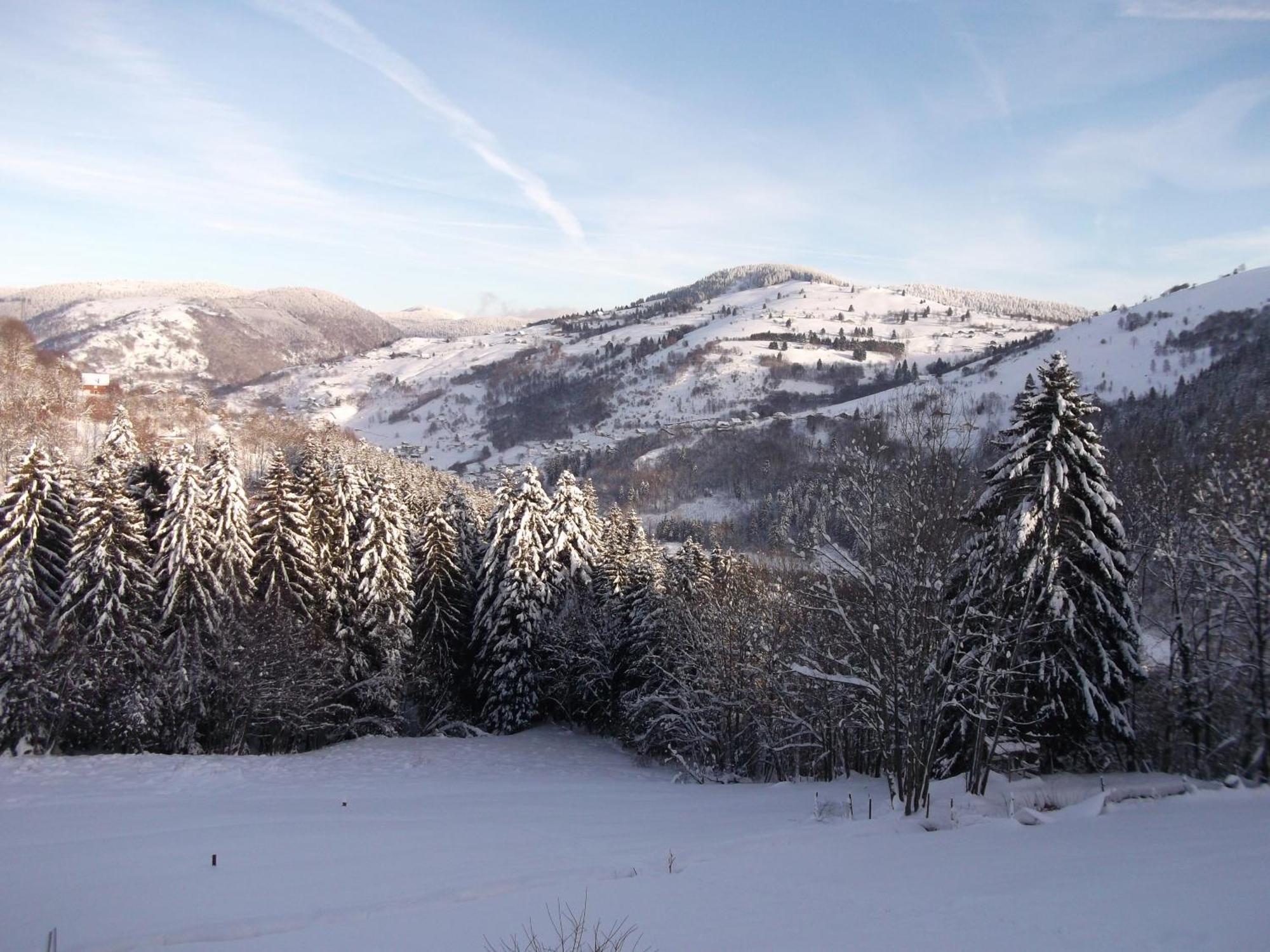 La Ferme Du Vieux Sapin Bed & Breakfast La Bresse Exterior photo