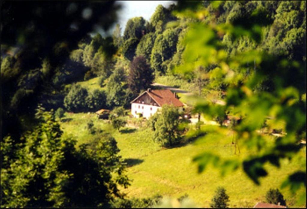 La Ferme Du Vieux Sapin Bed & Breakfast La Bresse Exterior photo